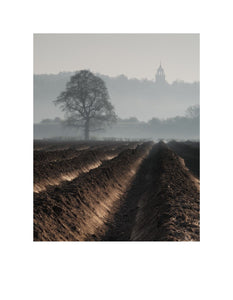 Norfolk Mists